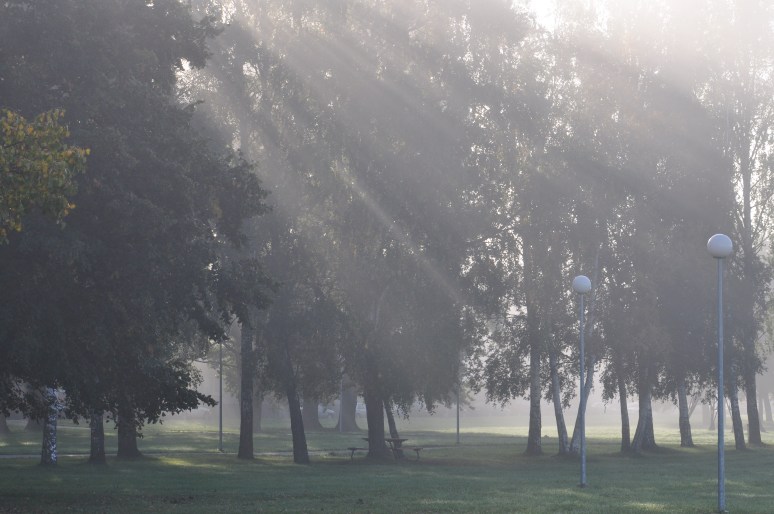 Varahommik Stroomi rannas