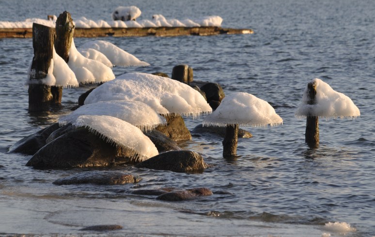 Katariina kai juures