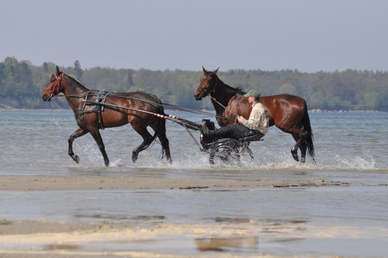 Hommik Stroomi rannas