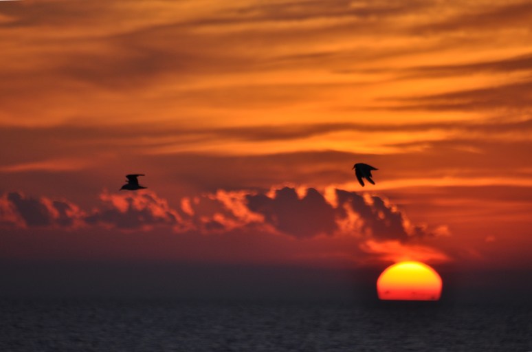 Loojang Narva-Jõesuus