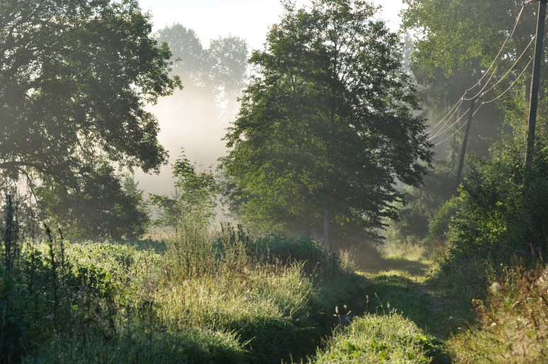 Suvehommik Liivakülas